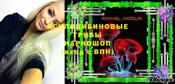 спайс Алексин