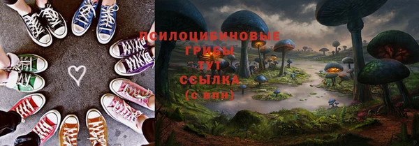спайс Алексин