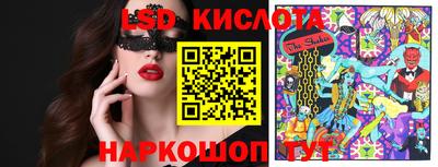 дмт Бийск