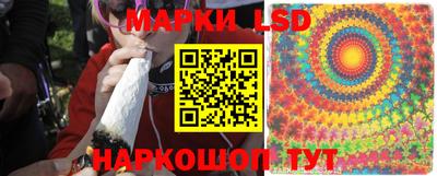 дмт Бийск