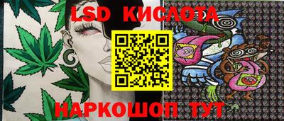 дмт Бийск