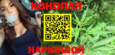 дмт Бийск
