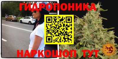 дмт Бийск