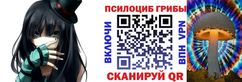 где продают   Боровичи  Галлюциногенные грибы MAGIC MUSHROOMS 