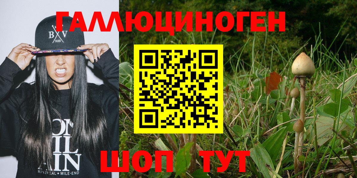 Галлюциногенные грибы прущие грибы  Вход с VPN  Боровичи  Псилоцибиновые грибы прущие грибы 