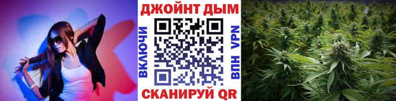 где купить наркоту  Боровичи  Каннабис сатива 